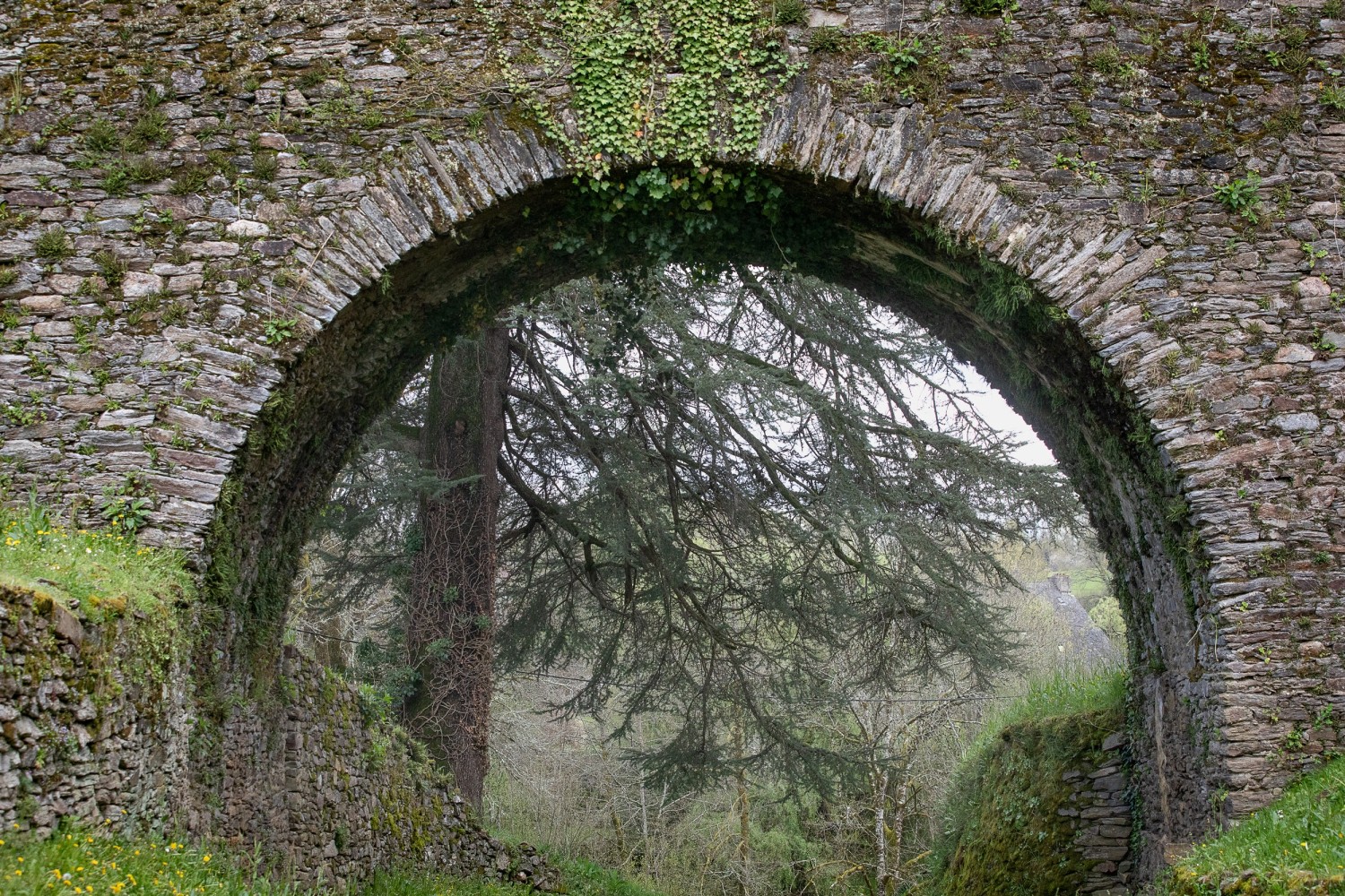 castrum-chateau-de-segur-yannmonel-2844.jpg