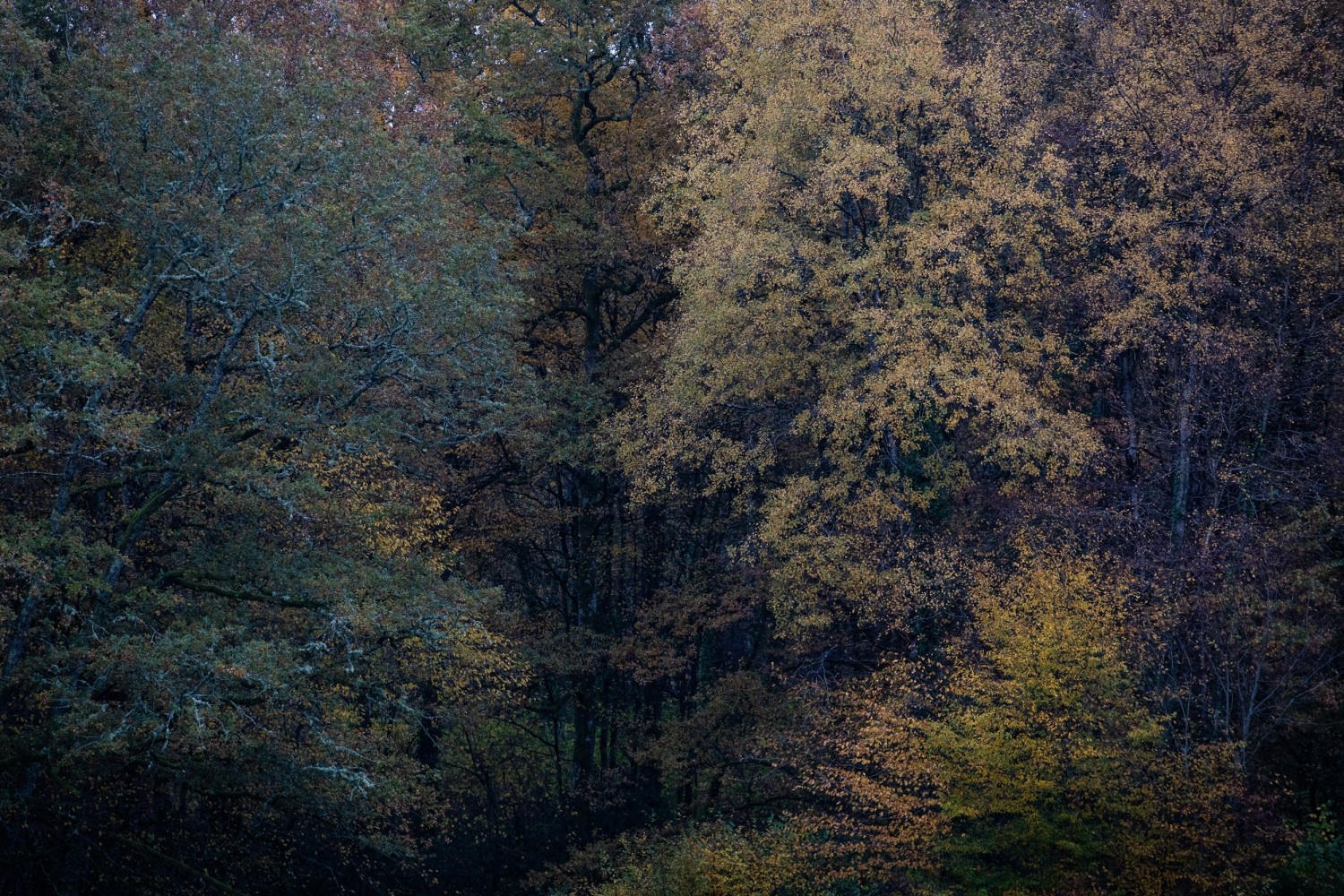 yannmonel-9181-b.jpg