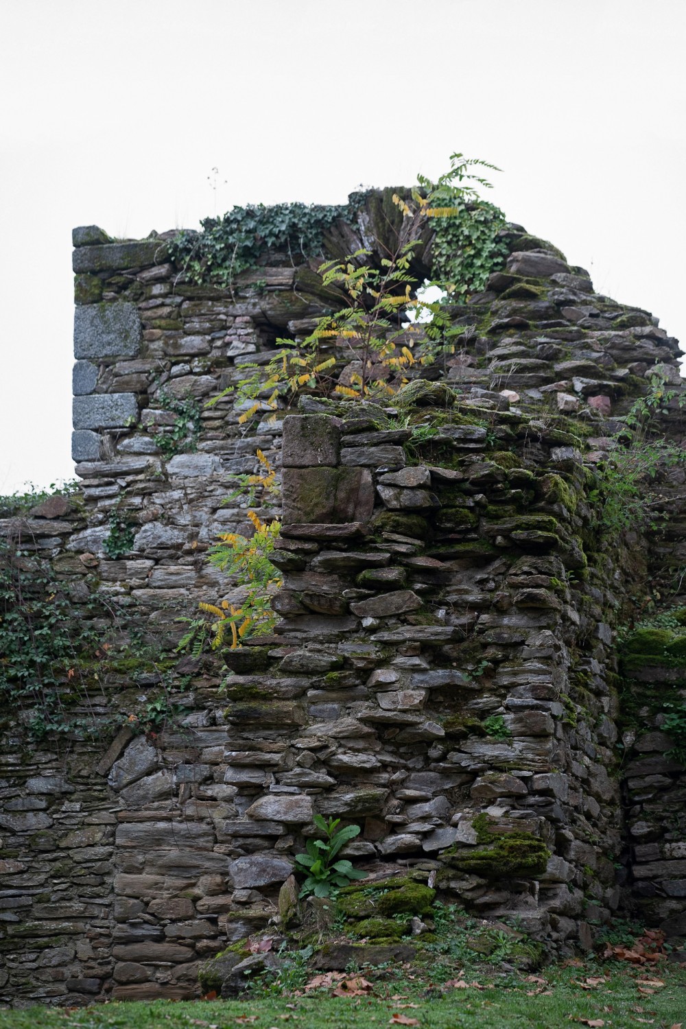 yannmonel-9412-castrum-2.jpg