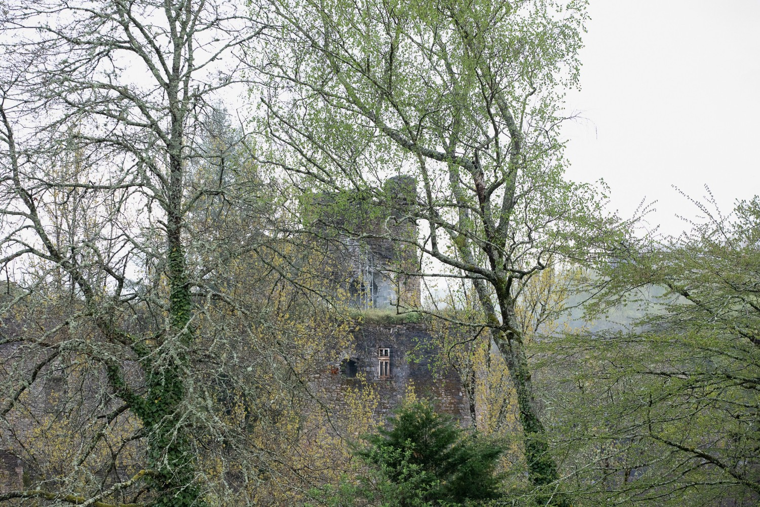 castrum-segur-chateau-yannmonel-2125-2500.jpg