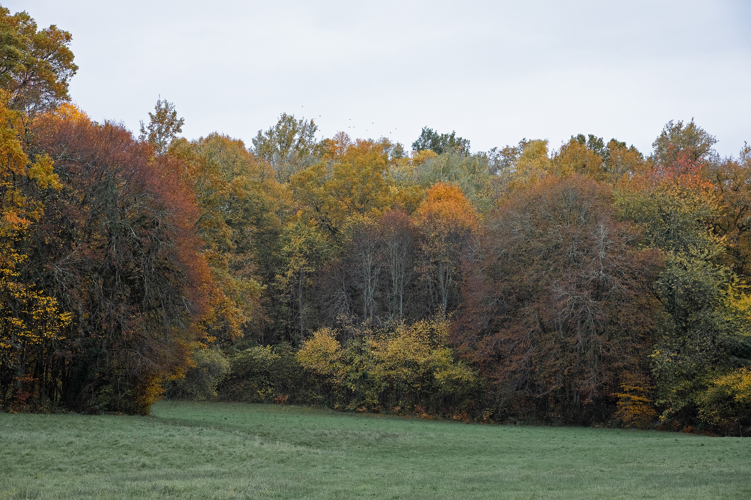 yannmonel-9133-castrum.jpg