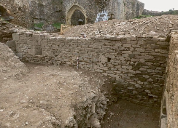 fig.8.jpg