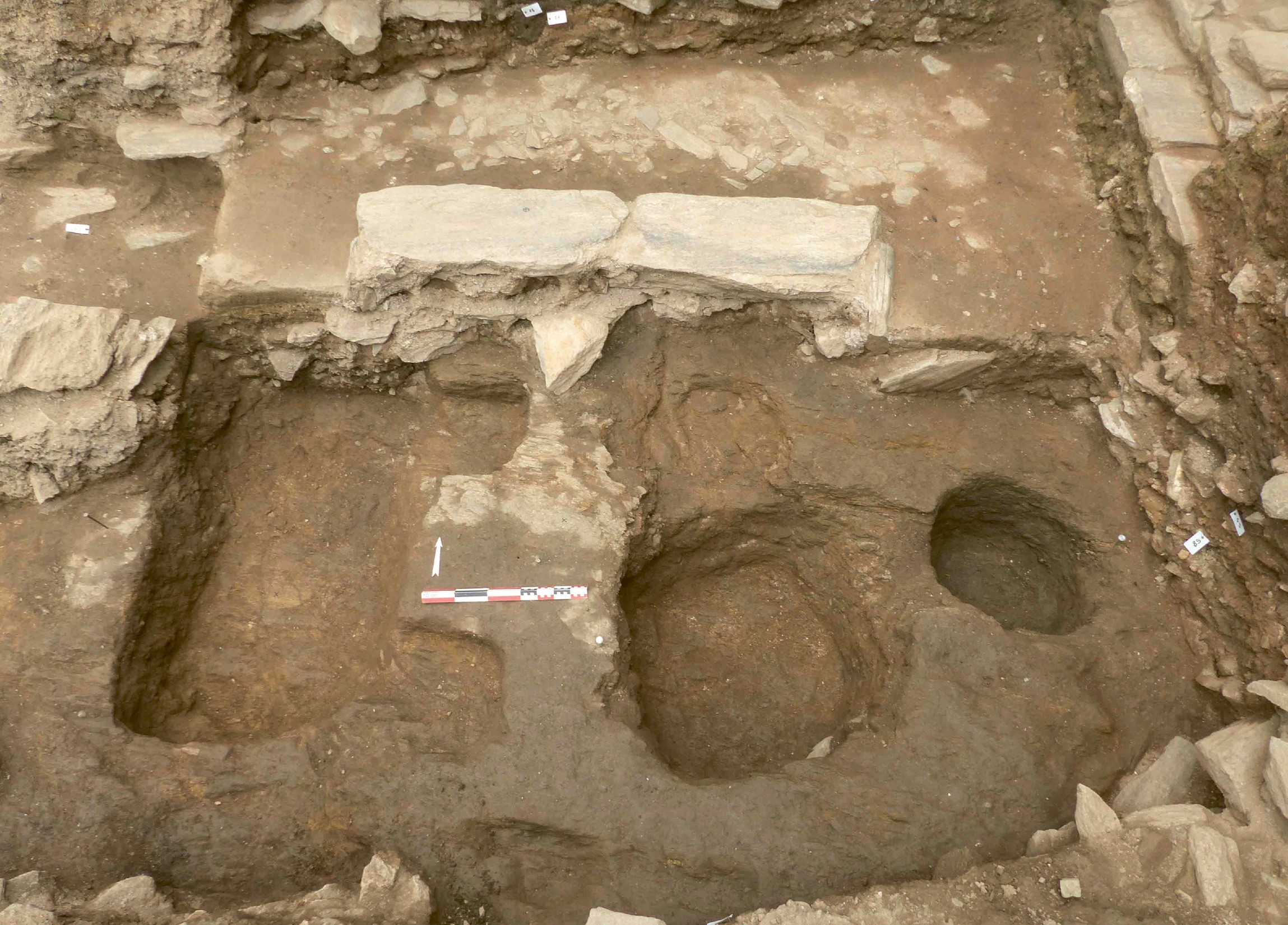 fig.5.jpg